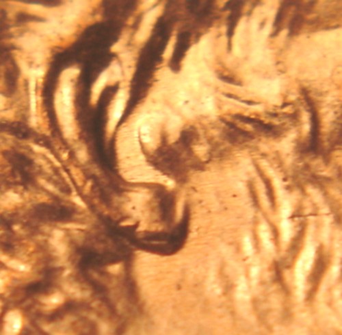 2006-P-Lincoln-Memorial-Cent---Partial-Beard-And-Polished-Inner-Ear